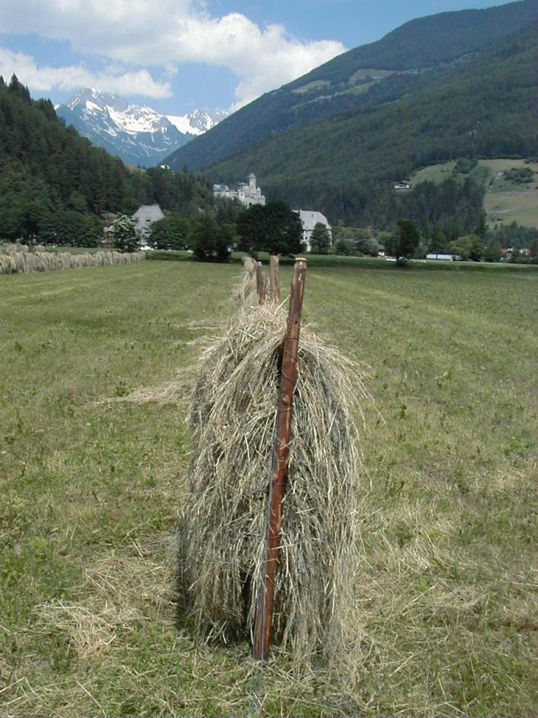 Heuernte in Südtirol